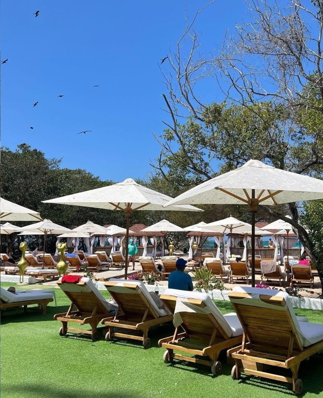 Ambiente en Pao Pao Beach Club