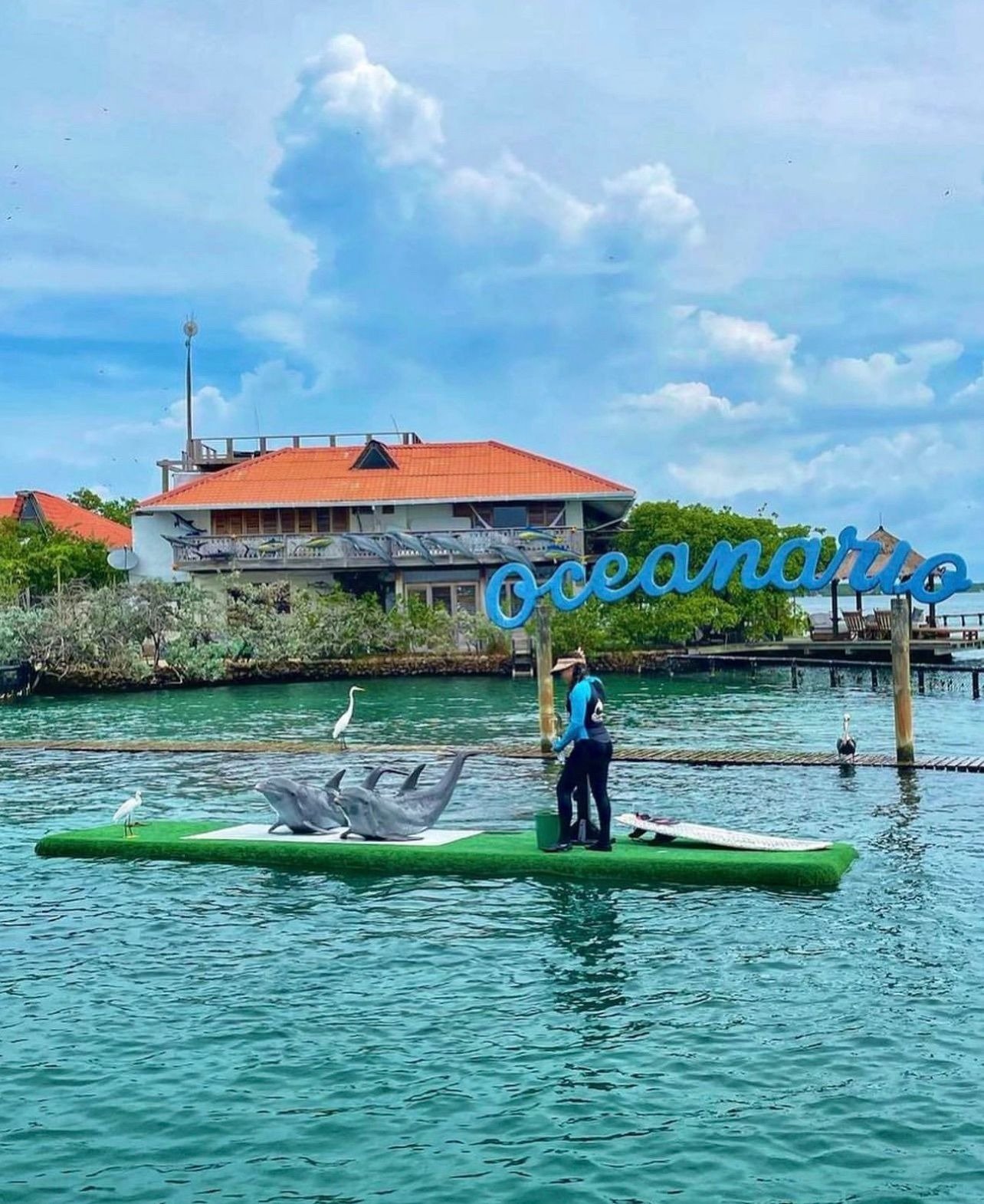 Ambiente del Oceanario