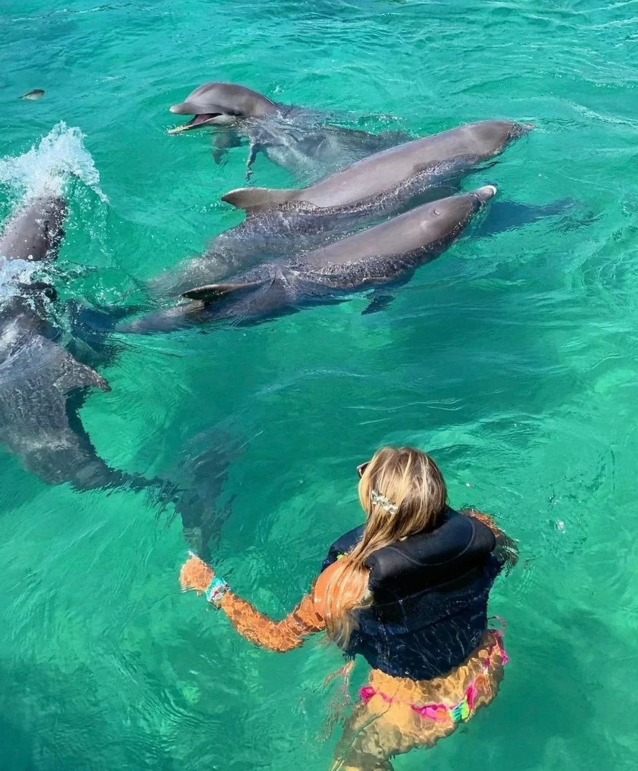 Experiencia Playa Blanca + Oceanario
