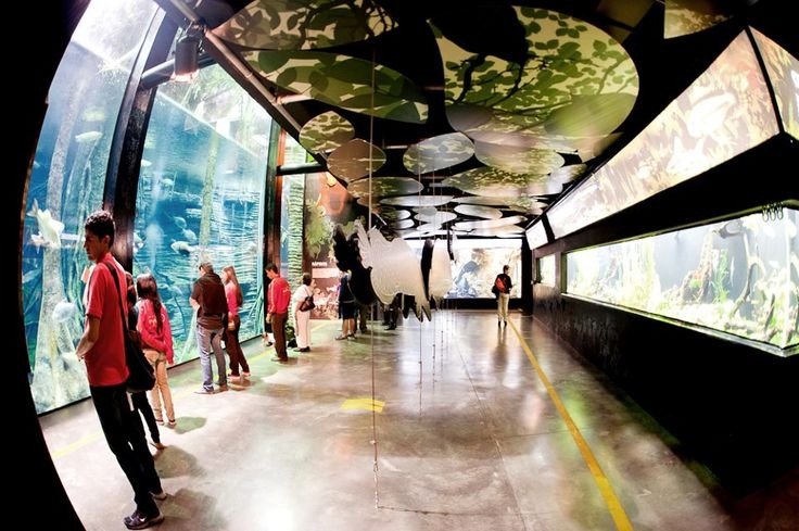 Parque Explora + Pueblito Paisa