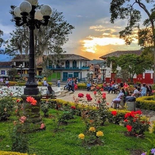 Tour Jardín